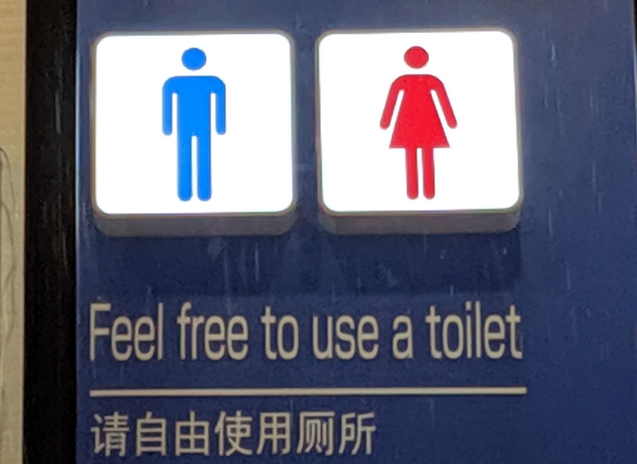 shop advertising toilet