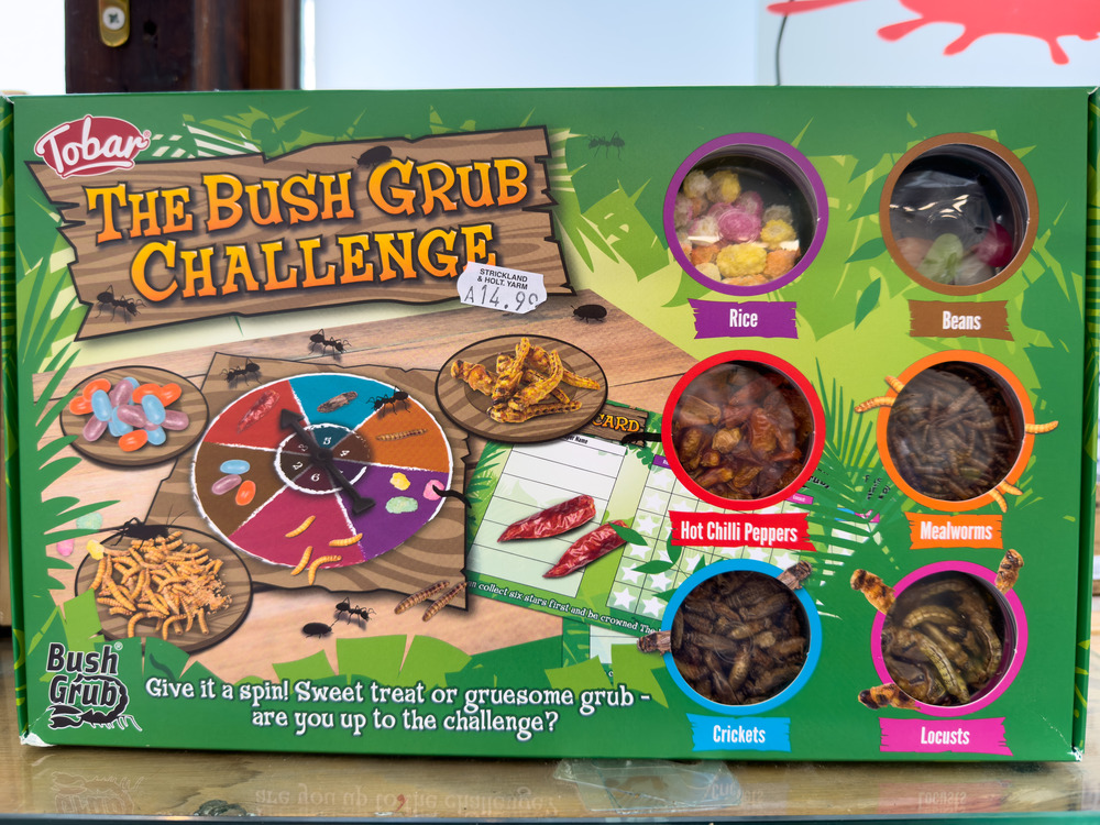 unusual bug eating game in childrens section