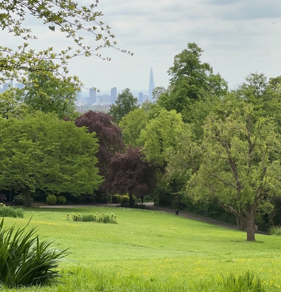 view from the top of Waterlow park